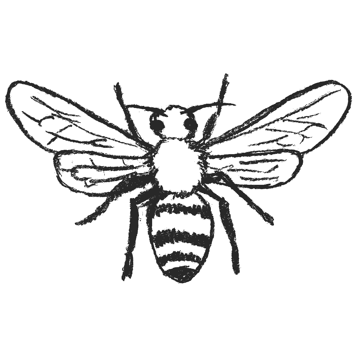ハチのイラスト Png えんぴつ素材